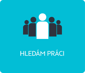 Hledám práci